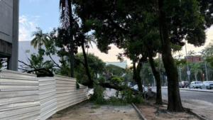 Temporal causa estragos e prejuízos em Belo Horizonte