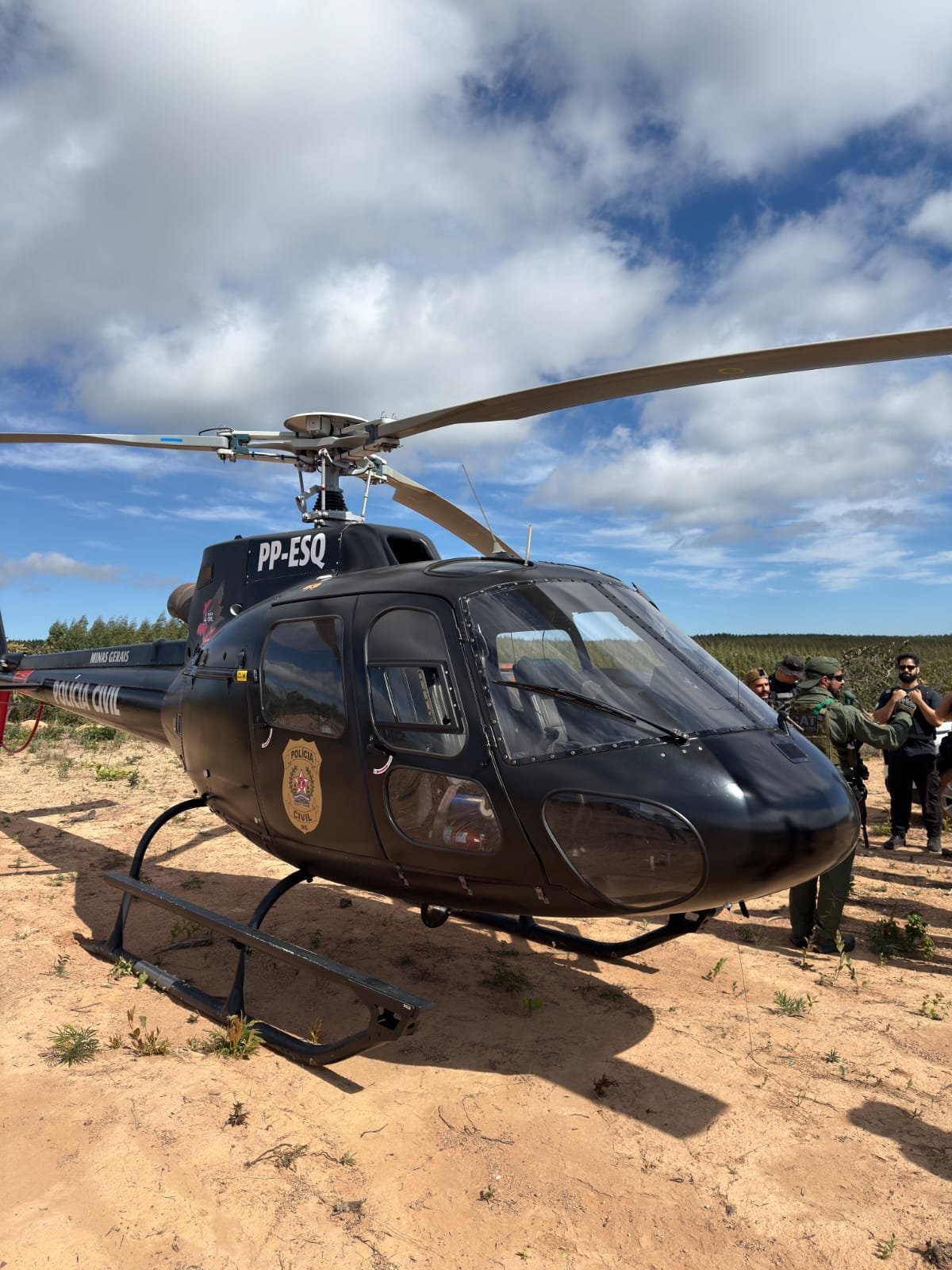 Operação Erva Daninha localiza cerca de duas toneladas de maconha e destrói estrutura de cultivo